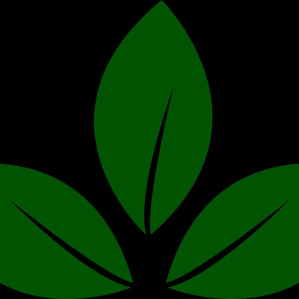 Leaves 5 Thumbnail
