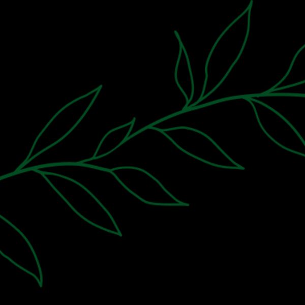Leaves 2 Thumbnail