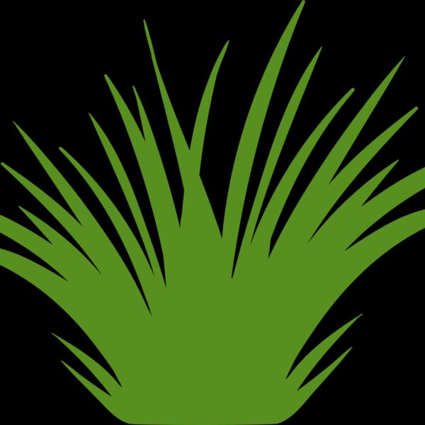 Grass 2 Thumbnail