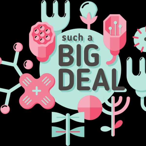 Such A Big Deal Thumbnail